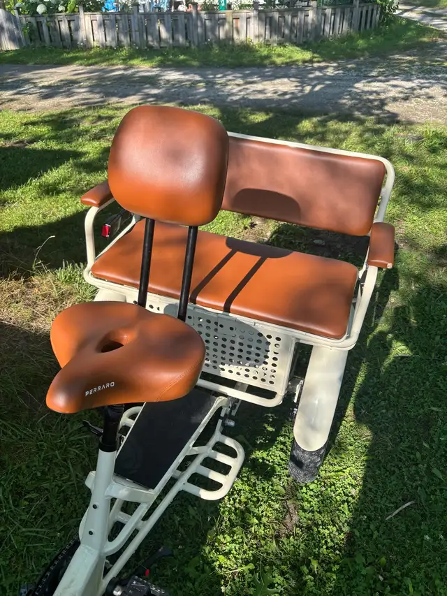 Ridex Perraro Passenger and Cargo ebike - Photo 4