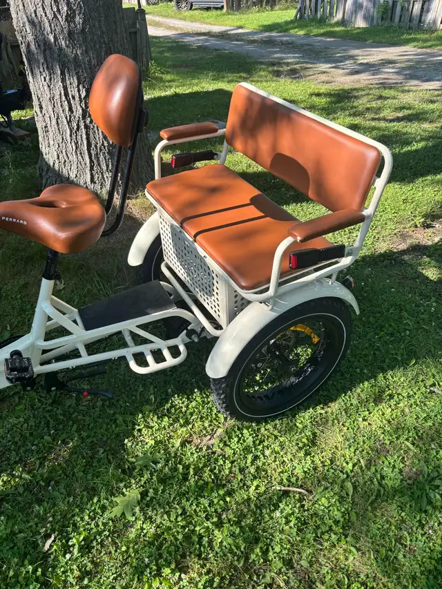 Ridex Perraro Passenger and Cargo ebike - Photo 5
