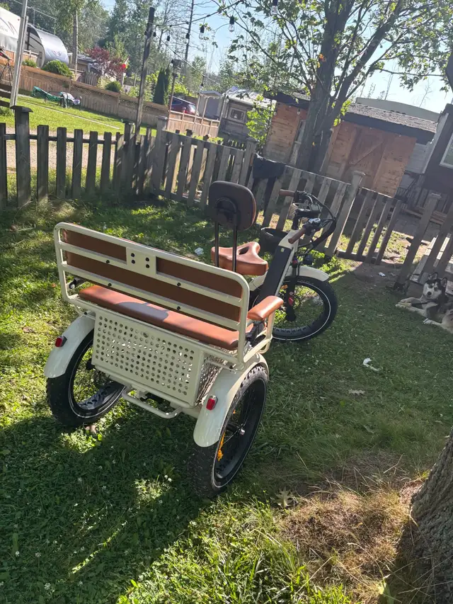 Ridex Perraro Passenger and Cargo ebike - Photo 7