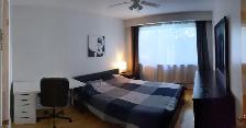 Superbe Appartement 41/2 Meublé à Louer  Rosemont/Petite Patrie