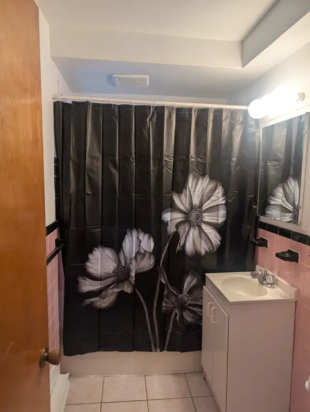 Superbe Appartement 41/2 Meublé à Louer  Rosemont/Petite Patrie - Photo 3