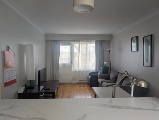 Superbe Appartement 41/2 Meublé à Louer  Rosemont/Petite Patrie - Photo 8