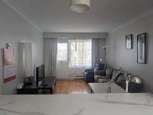 Superbe Appartement 41/2 Meublé à Louer  Rosemont/Petite Patrie - Photo 8