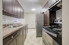NEWLY RENOVATED 1BRM APARTMENT – ALL UTILITIES INCLUDED! - Photo 4