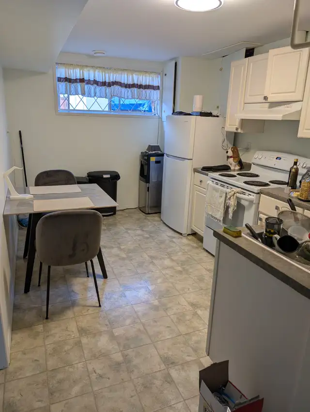 ROOM FOR RENT - Bonnie Doon, Basement Suite - Photo 9