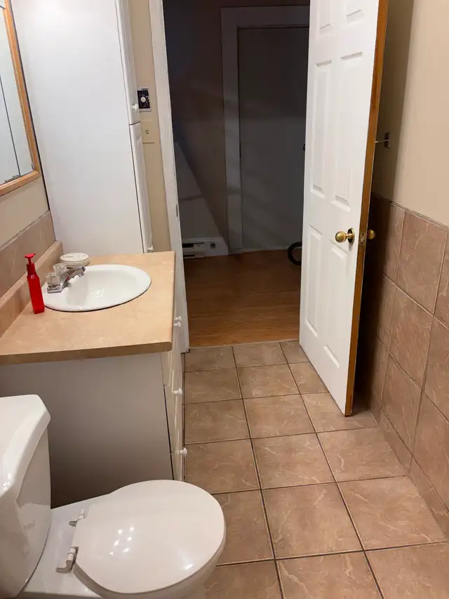 Perfect location! Large newly renovated downtown 2 bedroom apt. - Photo 10