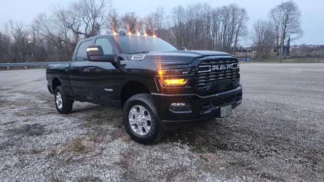 Guy with Truck