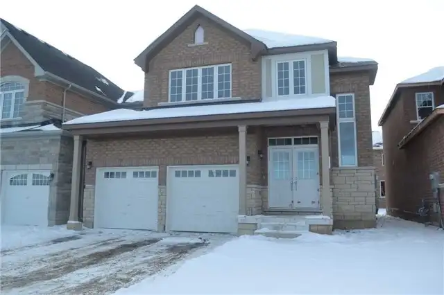Very Nice 2 Bedroom Basement For Rent