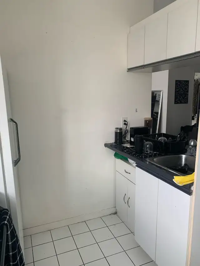 Downtown Metro Papineau luxury 550sf studio with appliances - Photo 5