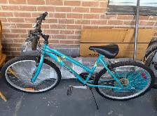 Triumph Mountain Bike