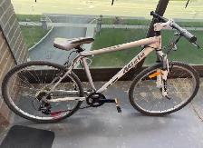 Miele Zoom Mountain Bike