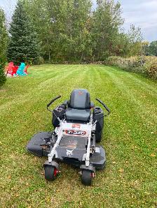 Lawn Maintenance/Sod - Photo 3