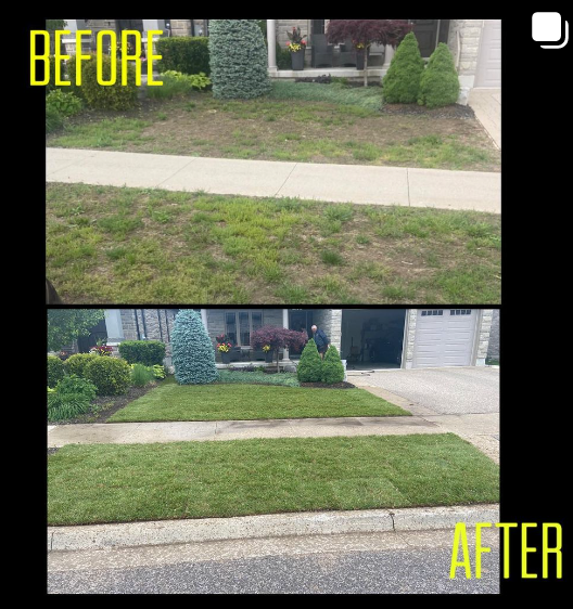Lawn Maintenance/Sod - Photo 5
