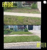 Lawn Maintenance/Sod - Photo 5