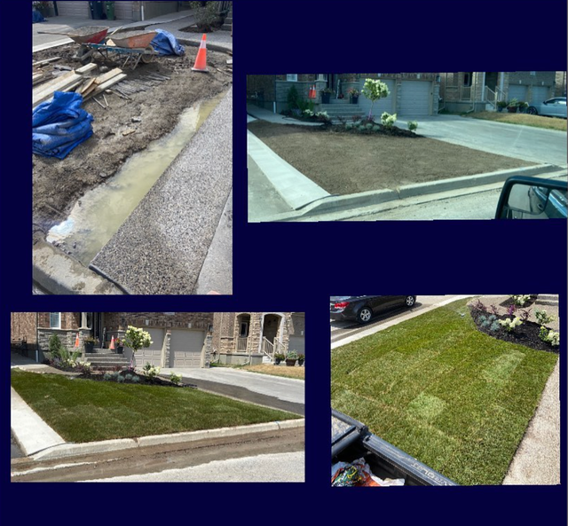 Lawn Maintenance/Sod - Photo 6