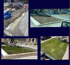 Lawn Maintenance/Sod - Photo 6