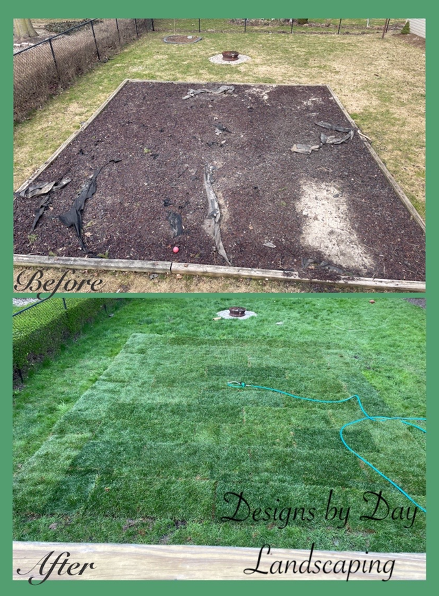 Lawn Maintenance/Sod - Photo 7