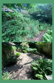 Lawn Maintenance/Sod - Photo 9