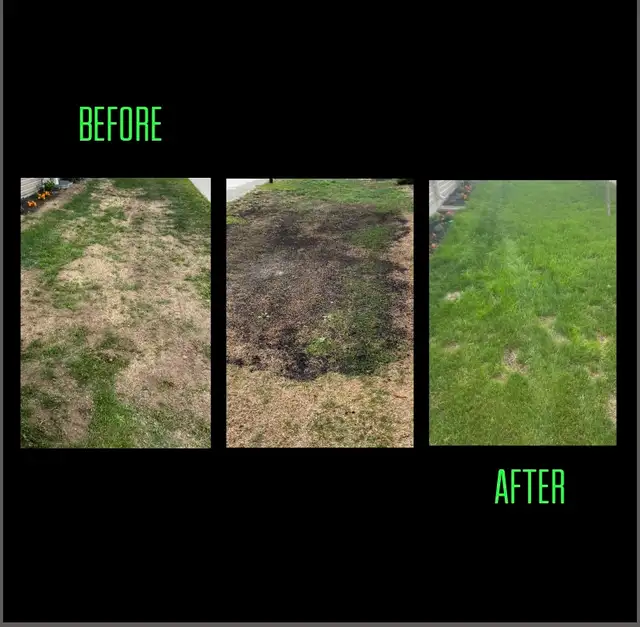 Lawn Maintenance/Sod - Photo 10