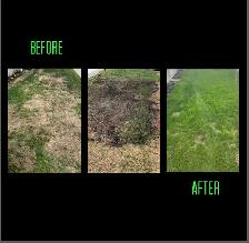 Lawn Maintenance/Sod - Photo 10