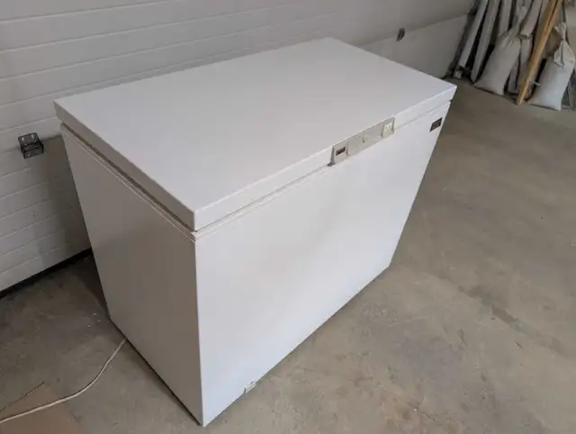 Chest Freezer - Can Deliver - Photo 2