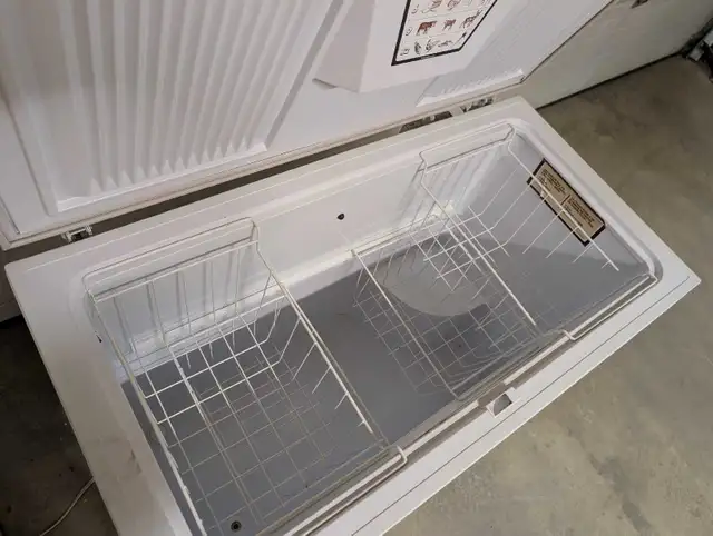 Chest Freezer - Can Deliver - Photo 4