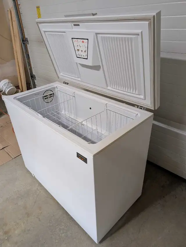 Chest Freezer - Can Deliver - Photo 6