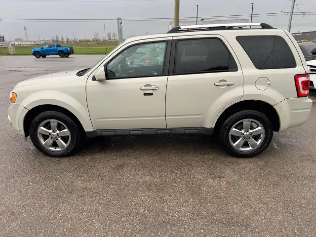 2009 Ford Escape LIMITED, AWD, V6, LEATHER, AUTO, AS IS SPECIAL - Photo 2