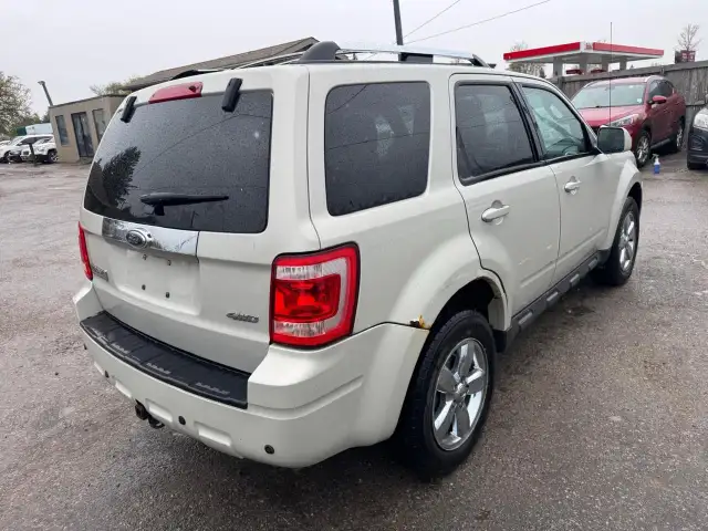 2009 Ford Escape LIMITED, AWD, V6, LEATHER, AUTO, AS IS SPECIAL - Photo 5