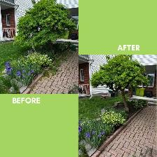 Landscaping Subcontractors Wanted – ProGrow Gardening - Photo 5