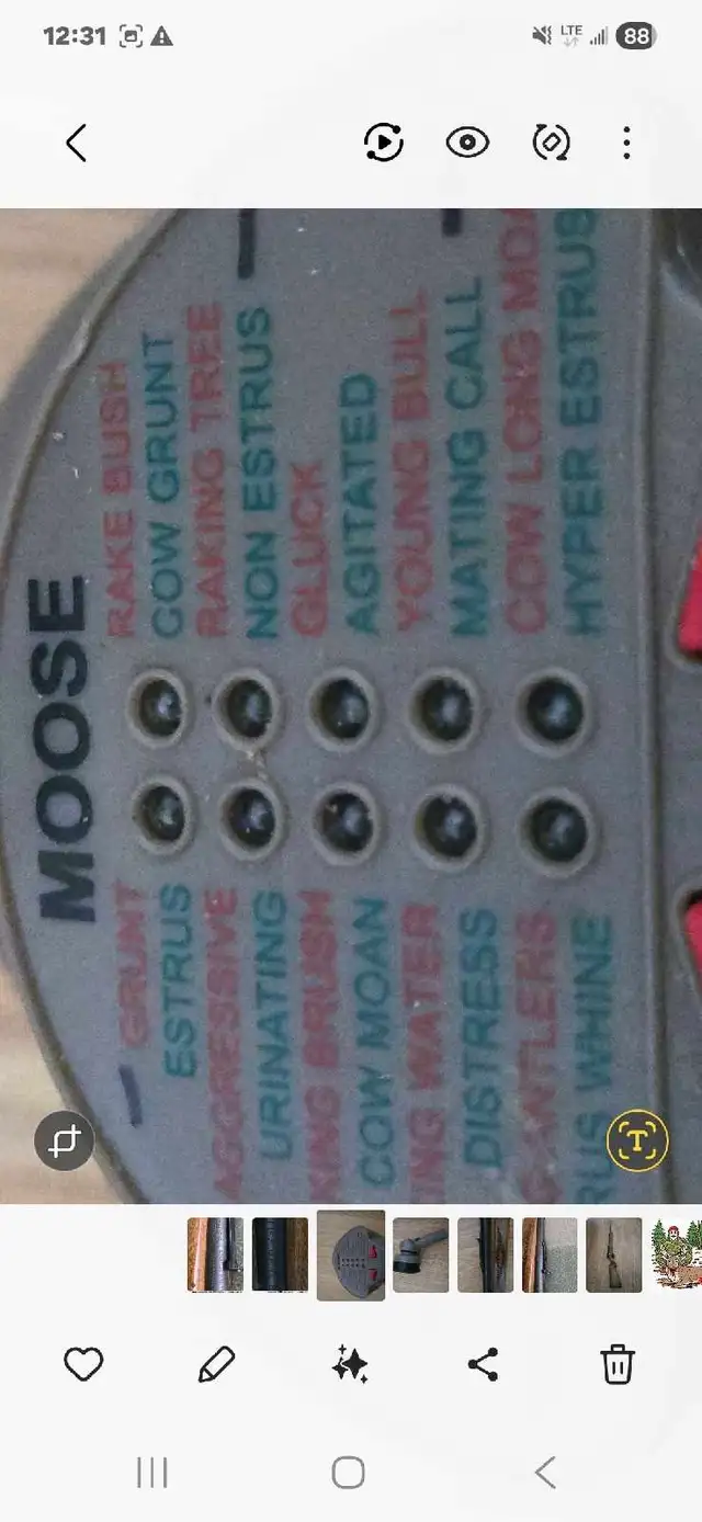 Electronic moose caller - Photo 3