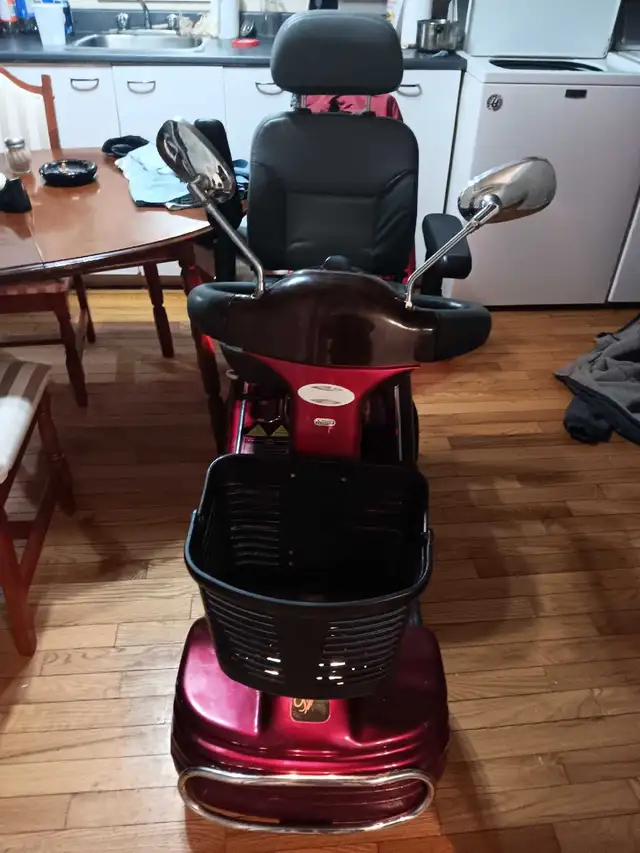 Quatripoteur