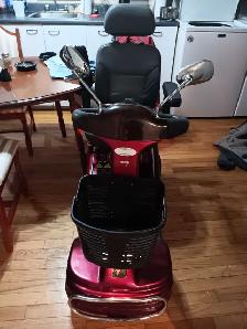 Quatripoteur