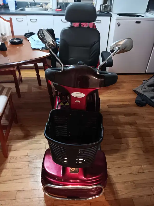 Quatripoteur - Photo 2