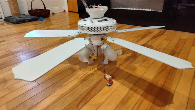 FOR SALE:  42 INCH DIAMETER CANARM LIGHT - CEILING FAN