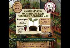 Plant Seedling Sale all month of May Casselman 10 for $25!
