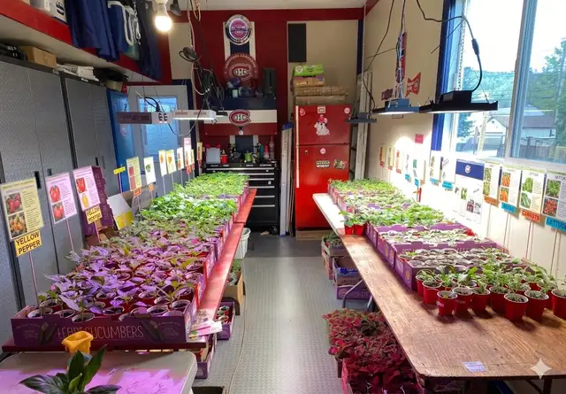 Plant Seedling Sale all month of May Casselman 10 for $25! - Photo 2