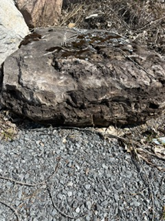 Rocks- Boulders - Landscape stones - Photo 2
