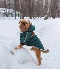 Dog Collars, Leashes, Harnesses, Coats, Sweaters & Jackets(used) - Photo 4