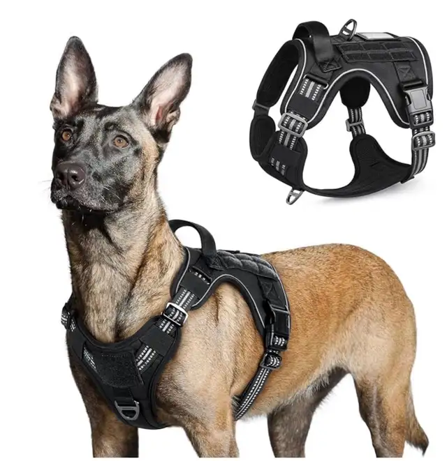 Dog Collars, Leashes, Harnesses, Coats, Sweaters & Jackets(used) - Photo 7