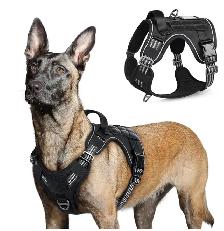 Dog Collars, Leashes, Harnesses, Coats, Sweaters & Jackets(used) - Photo 7