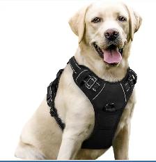 Dog Collars, Leashes, Harnesses, Coats, Sweaters & Jackets(used) - Photo 9