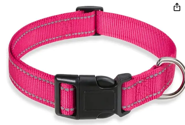 Dog Collars, Leashes, Harnesses, Coats, Sweaters & Jackets(used) - Photo 10