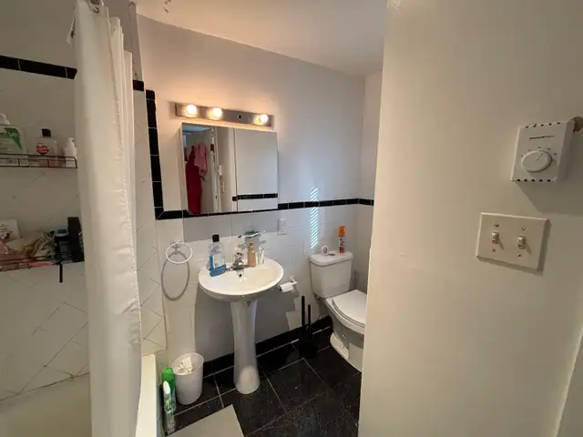 4 1/2 Plateau - 1 chambre - Ave des Érables - Photo 10