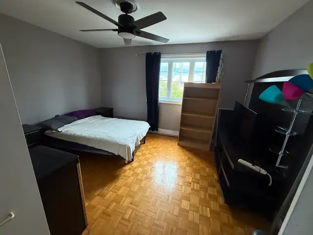 Chambre à louer dans une jolie maison - Photo 2