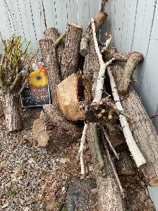 Free Firewood, interested