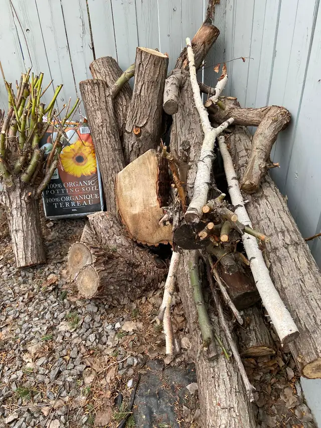 Free Firewood, interested - Photo 6