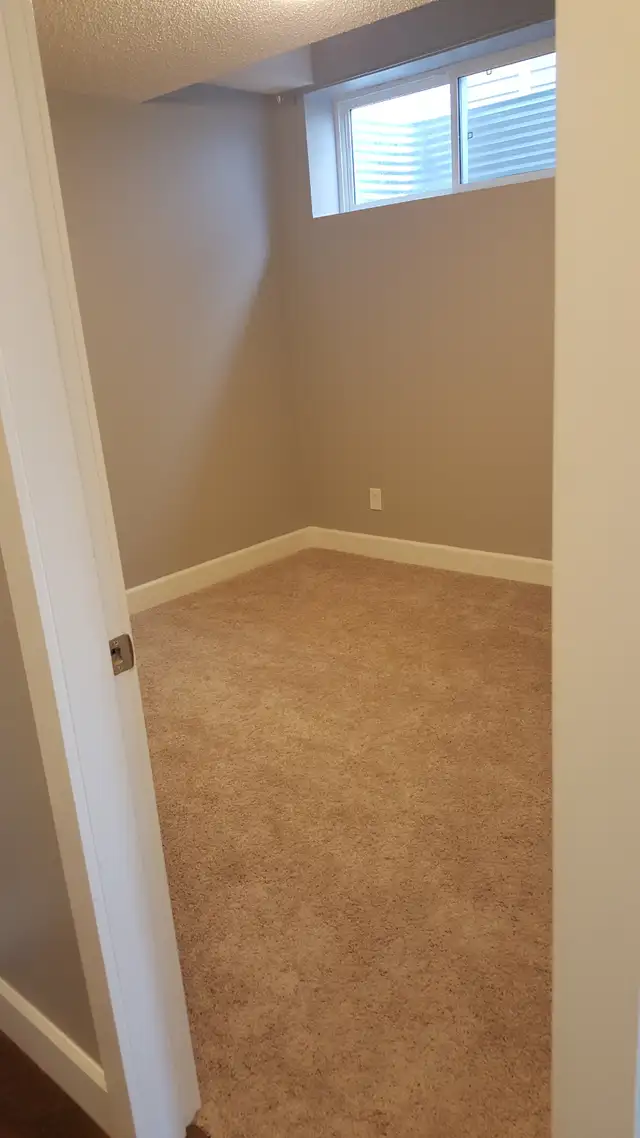 WALKOUT Basement Suite for Rent - Photo 4