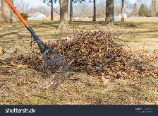 help to garden and pull weeds