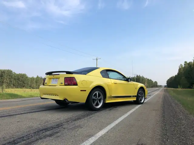 2003 Mustang Mach 1